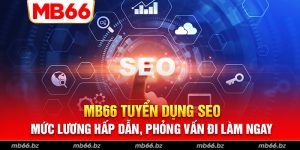 mb66 tuyển dụng seo