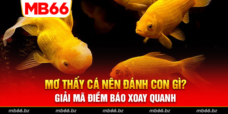 mơ thấy cá